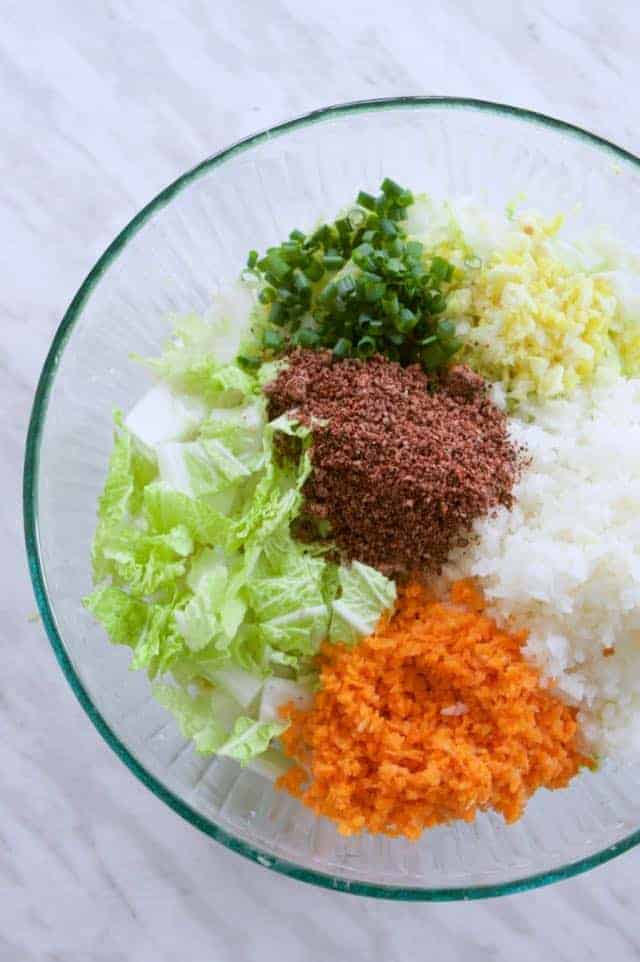 Kimchi Ingredients in Bowl | melissatorio.com
