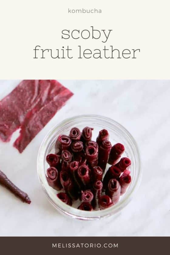 SCOBY Fruit Leather | melissatorio.com