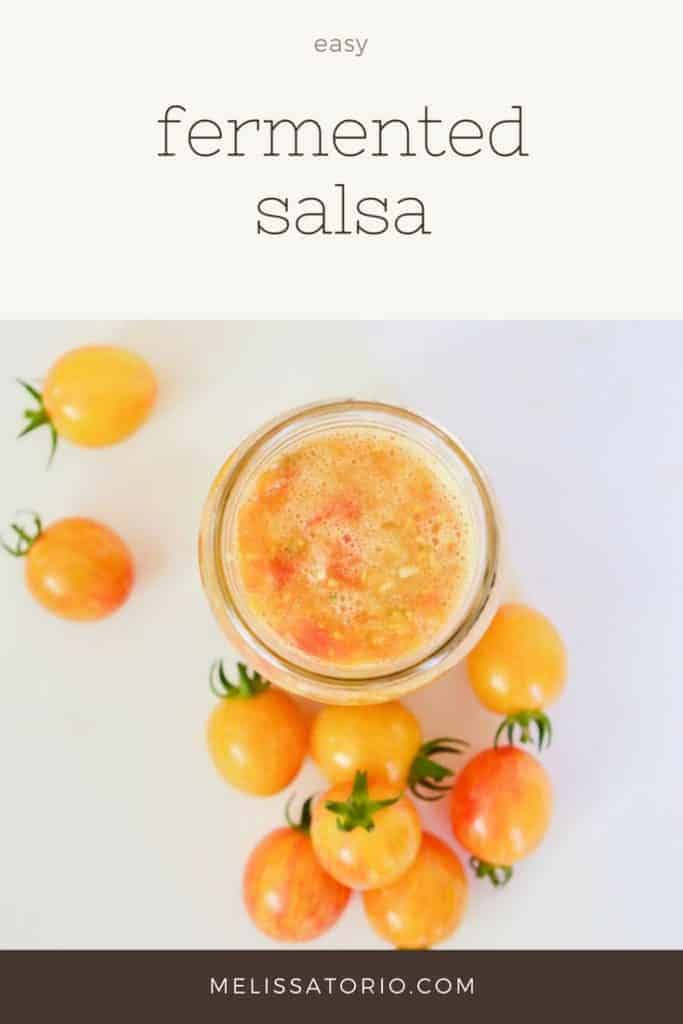 Fermented Salsa | melissatorio.com