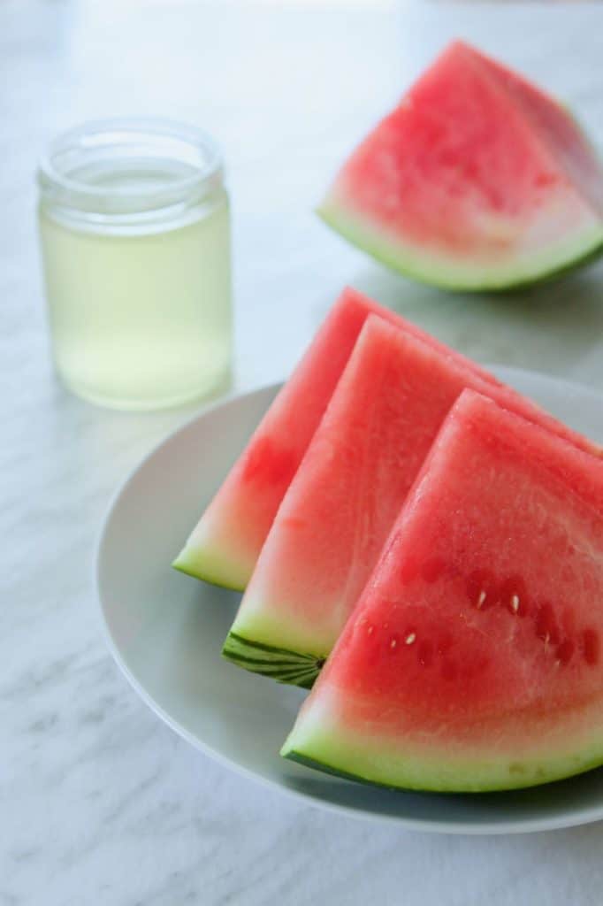 Watermelon Kombucha Shake Ingredients | melissatorio.com