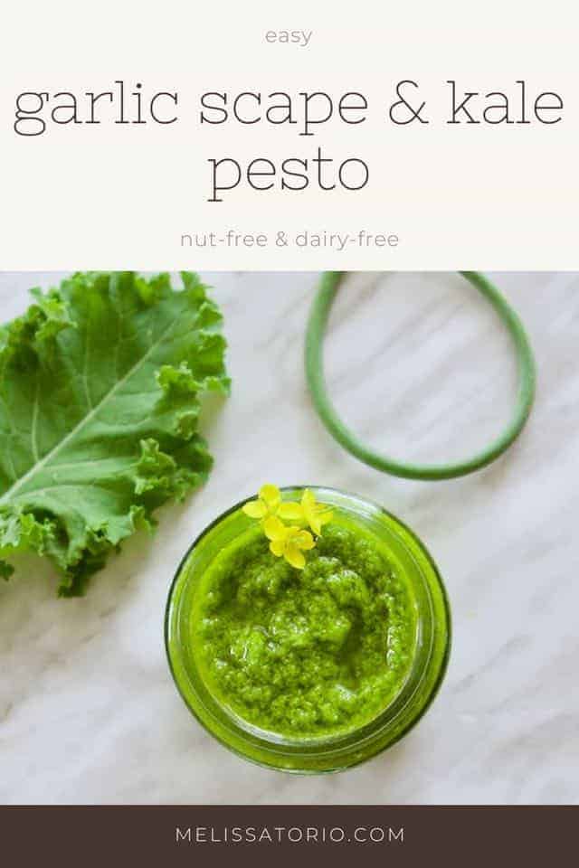 Garlic Scape Kale Pesto | melissatorio.com